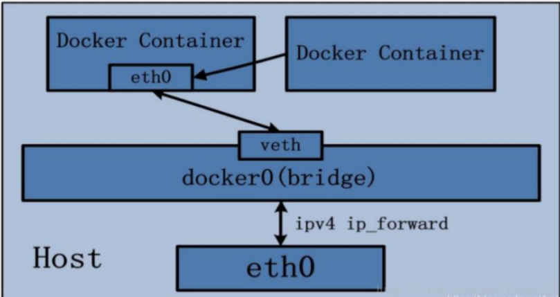 docker network container