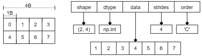 ndarray 内部结构